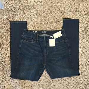 a.n.a Mid-Rise Skinny Indigo Jeans, 12